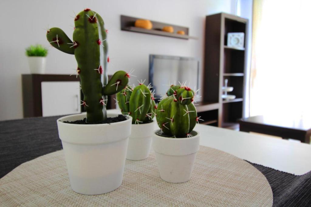 Appartement Expoholidays-Eucalipto 1º1 à Aguadulce  Extérieur photo